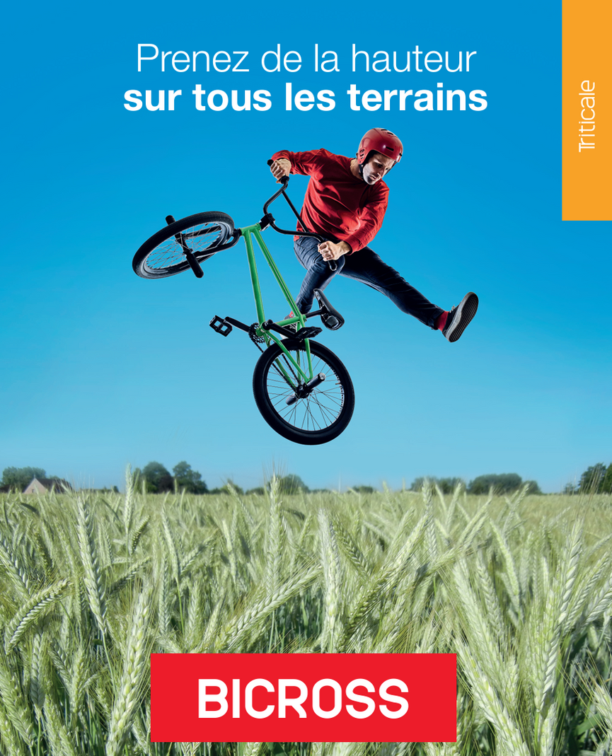 Semence de triticale Bicross à excellent pouvoir méthanogène