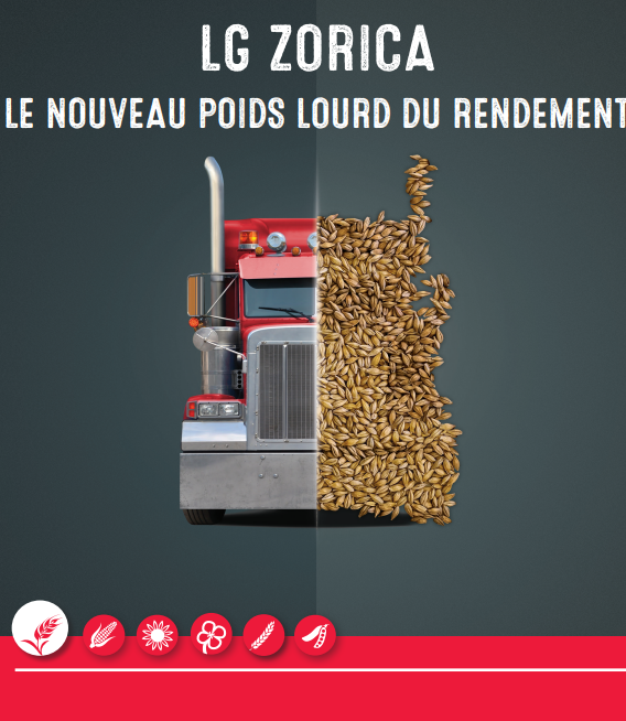 Semence d'orge fourragère LG Zorica pour méthaniseur