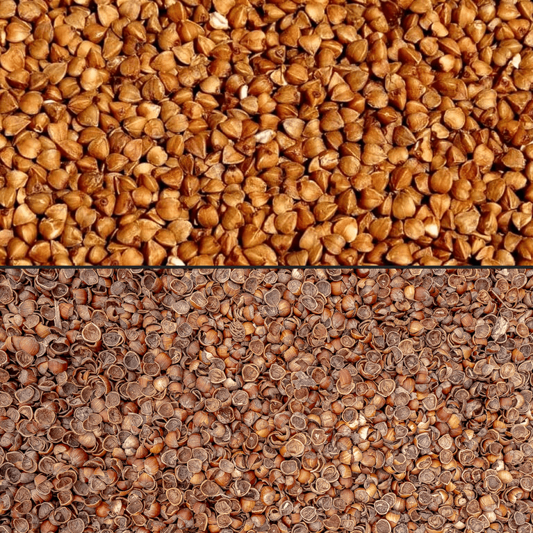 Graine et cosse de sarrasin - Methappro