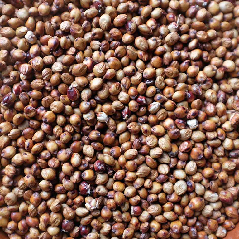 Sorgho grain