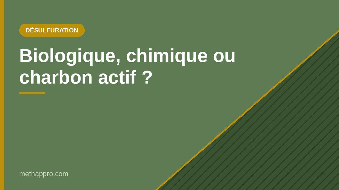 Désulfuration biologique, chimique ou charbon actif — Methappro