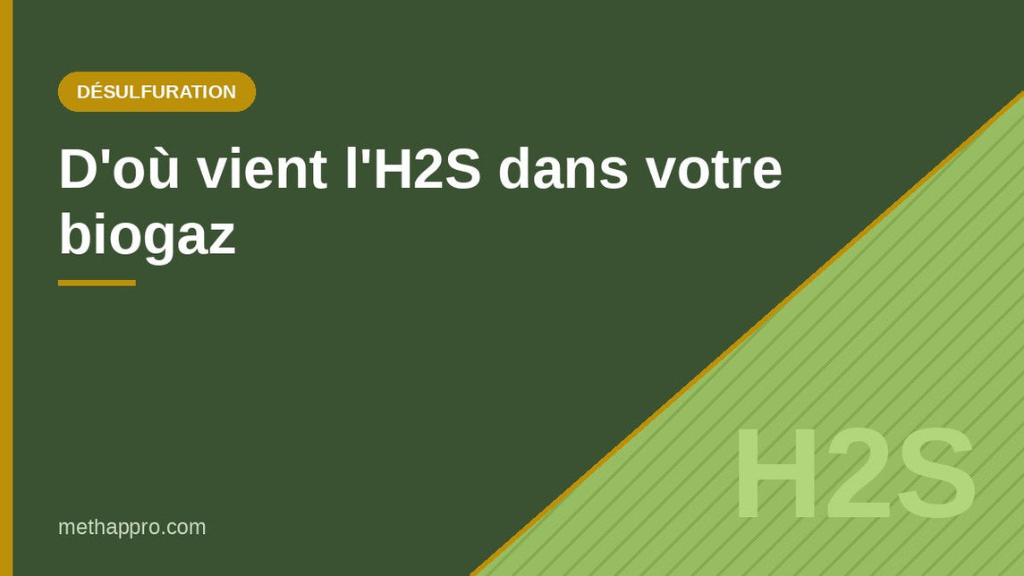 D'où vient l'H2S dans votre biogaz — Methappro