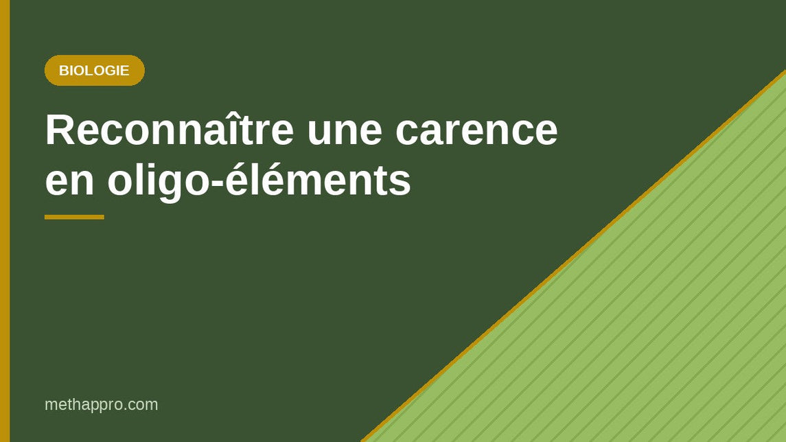 Reconnaître une carence en oligo-éléments — Methappro