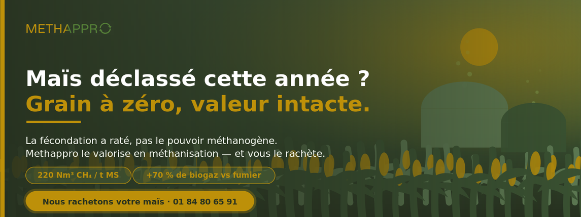 Maïs déclassé valorisé en méthanisation - Methappro
