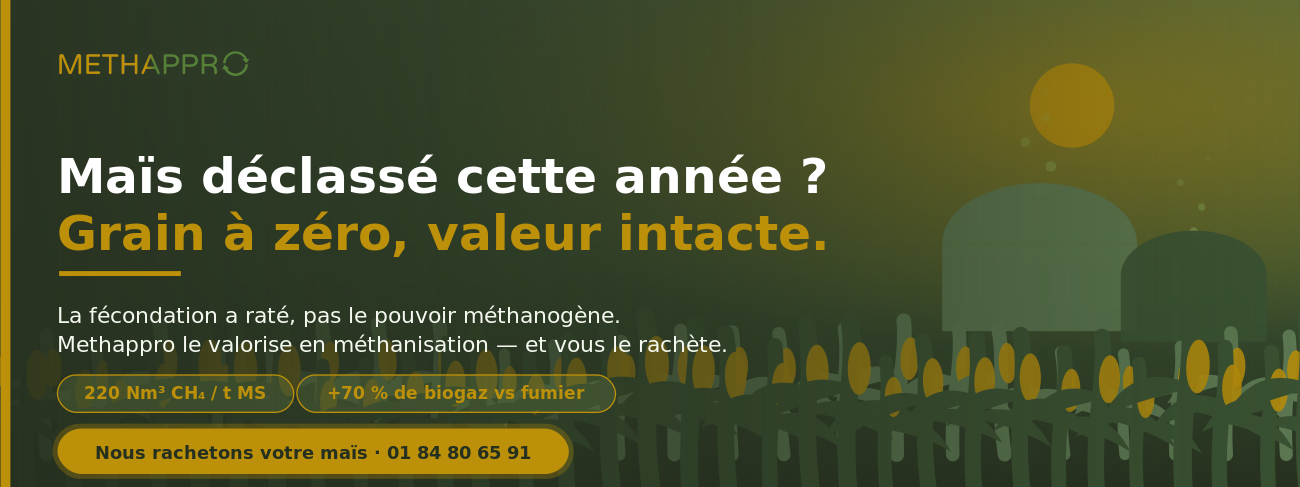Maïs déclassé valorisé en méthanisation - Methappro