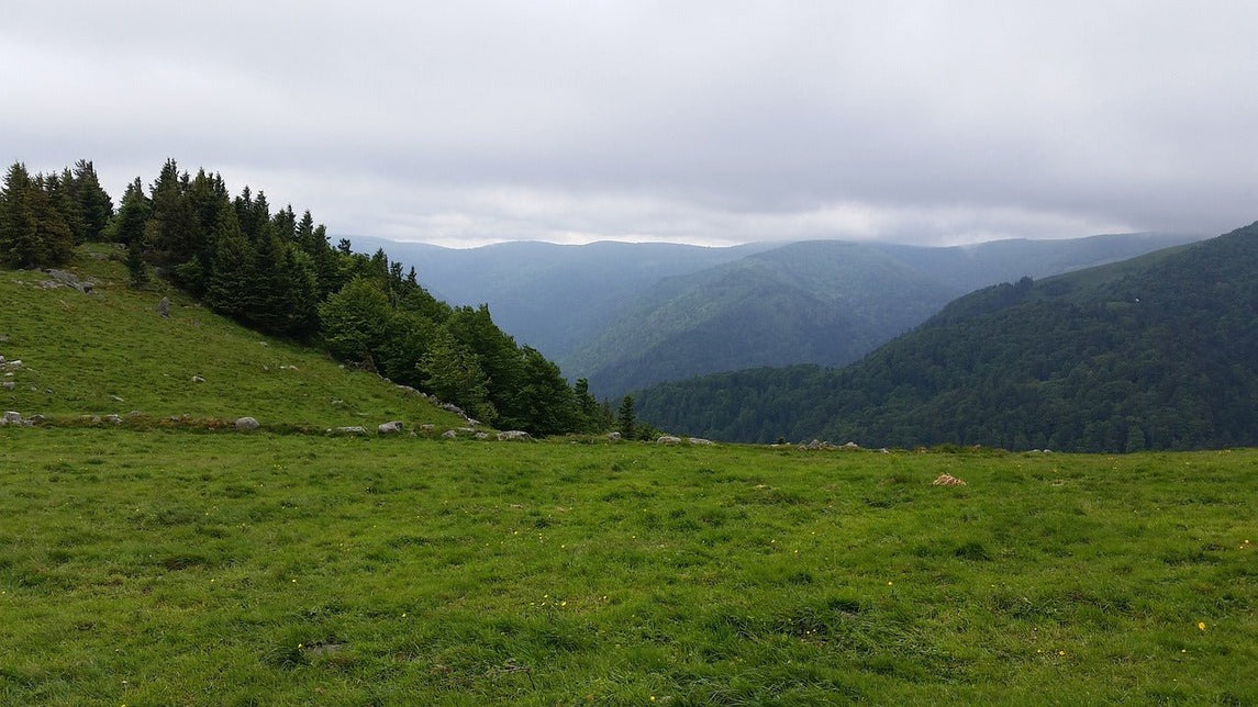 La méthanisation dans le Nord-Est de la France - Methappro