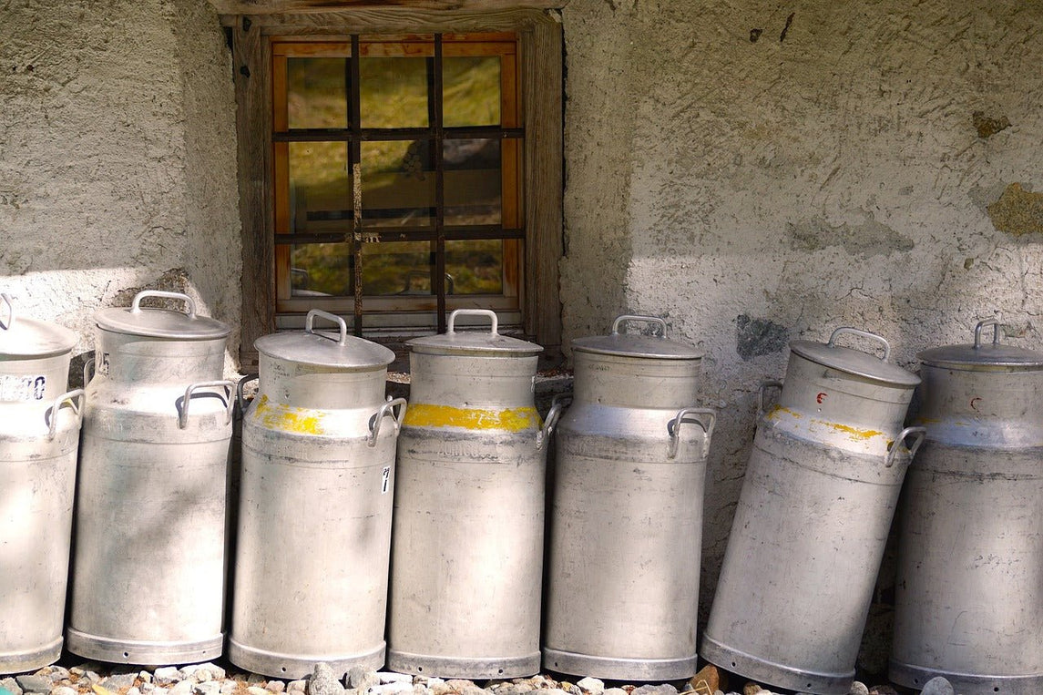 Les déchets de laiteries et fromageries - Methappro