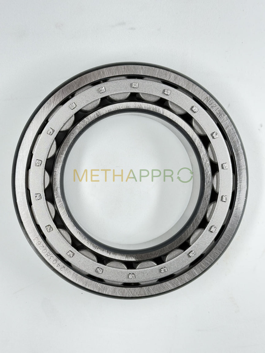 Palier_a_rouleau_cylindrique_forme_NU_2