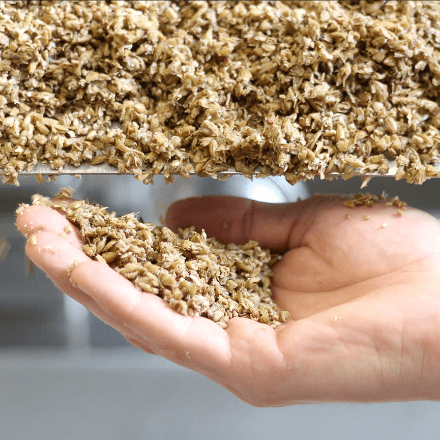 Drêche de bière - Methappro