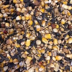 Issues de céréales - Methappro