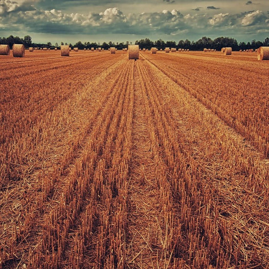 METHAPPRO - CÉRÉALES [25 kg] - Methappro