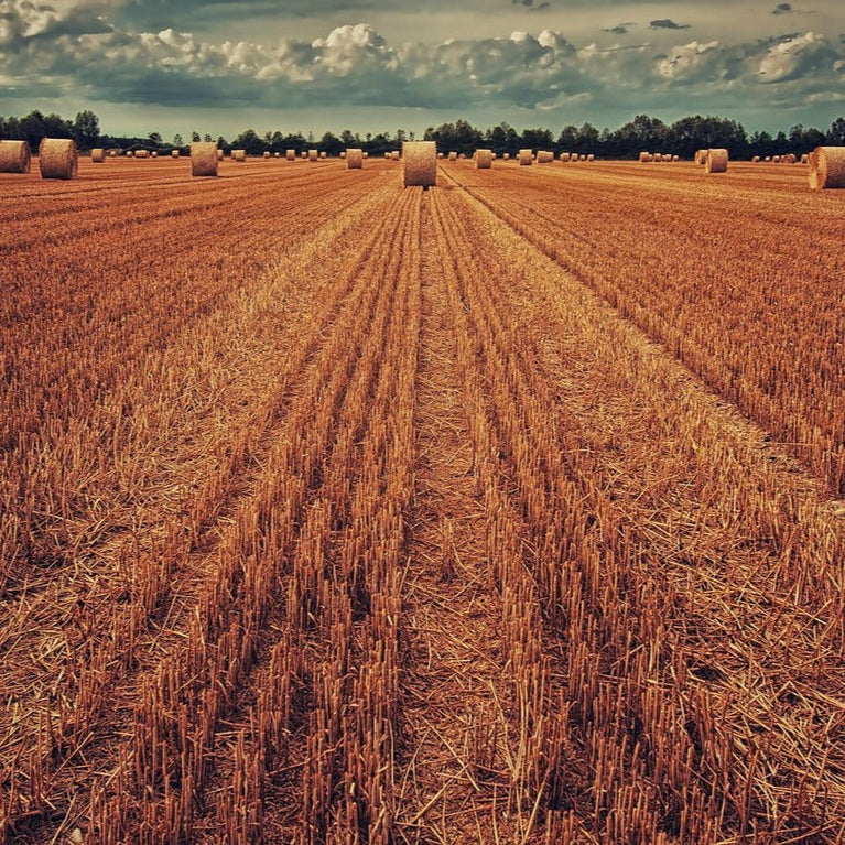 METHAPPRO - CÉRÉALES [25 kg] - Methappro