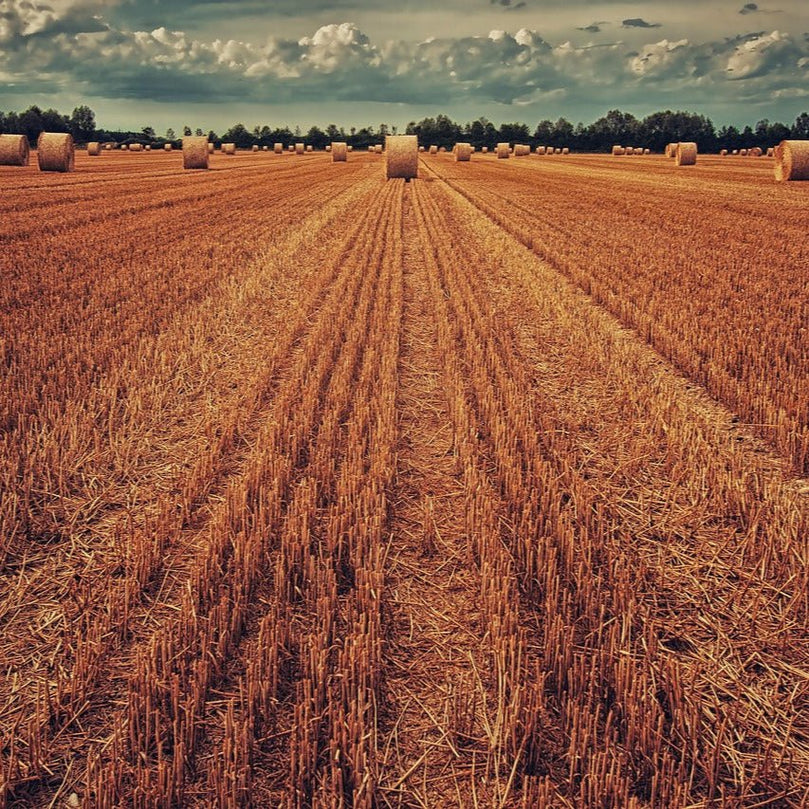 METHAPPRO - CÉRÉALES [25 kg] - Methappro