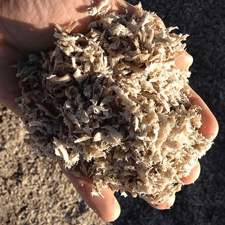 Pulpe de betterave - Methappro